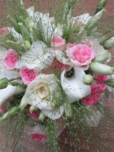 composition-rose-et-blanche