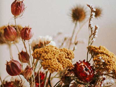 fleurs sechées jaunes et rouges